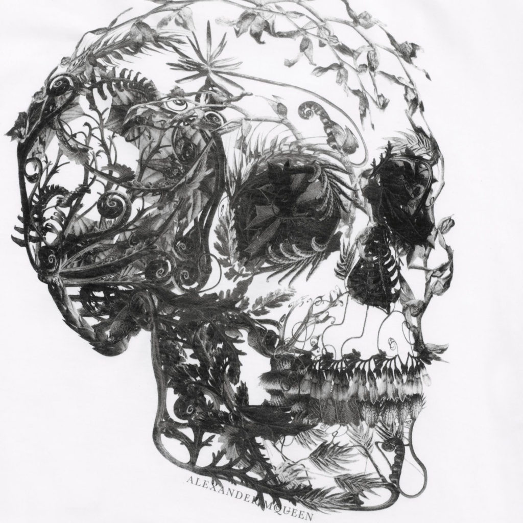 alexander mcqueen skull